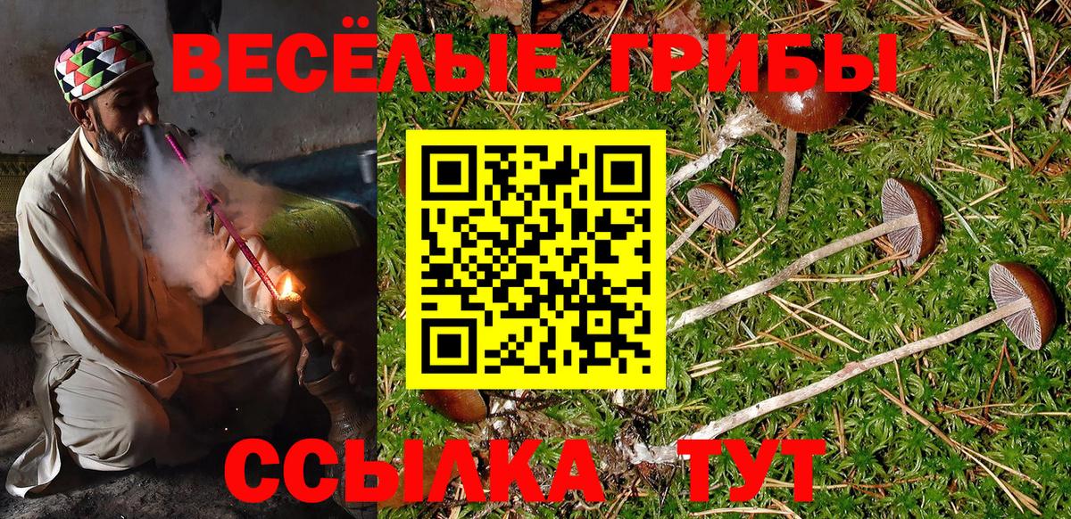 Псилоцибиновые грибы GOLDEN TEACHER  Псилоцибиновые грибы мухоморы  Вход с VPN  Ростов-на-Дону 