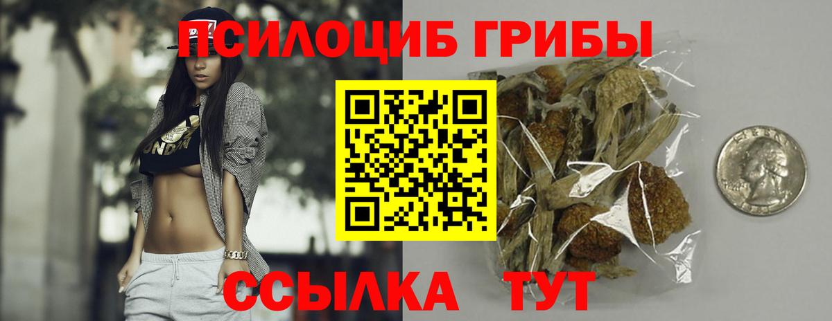Галлюциногенные грибы Psilocybe Ростов-на-Дону